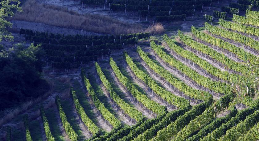 Cascina Arcangelo Raffaele Verduno Kültér fotó