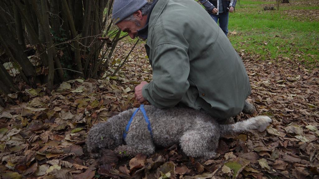 Cascina Arcangelo Raffaele Verduno Kültér fotó