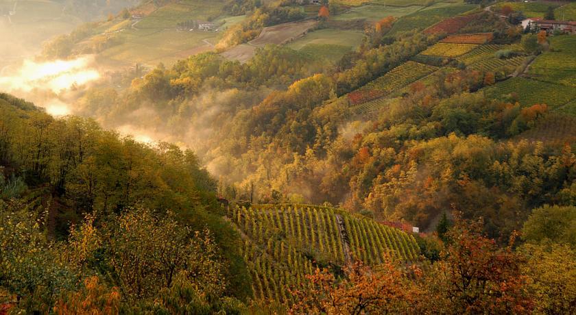 Cascina Arcangelo Raffaele Verduno Kültér fotó