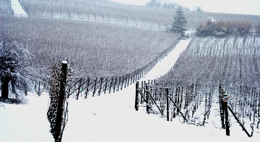 Cascina Arcangelo Raffaele Verduno Kültér fotó