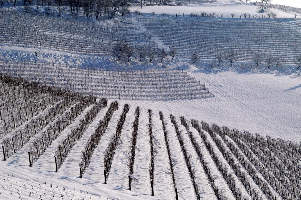 Cascina Arcangelo Raffaele Verduno Kültér fotó