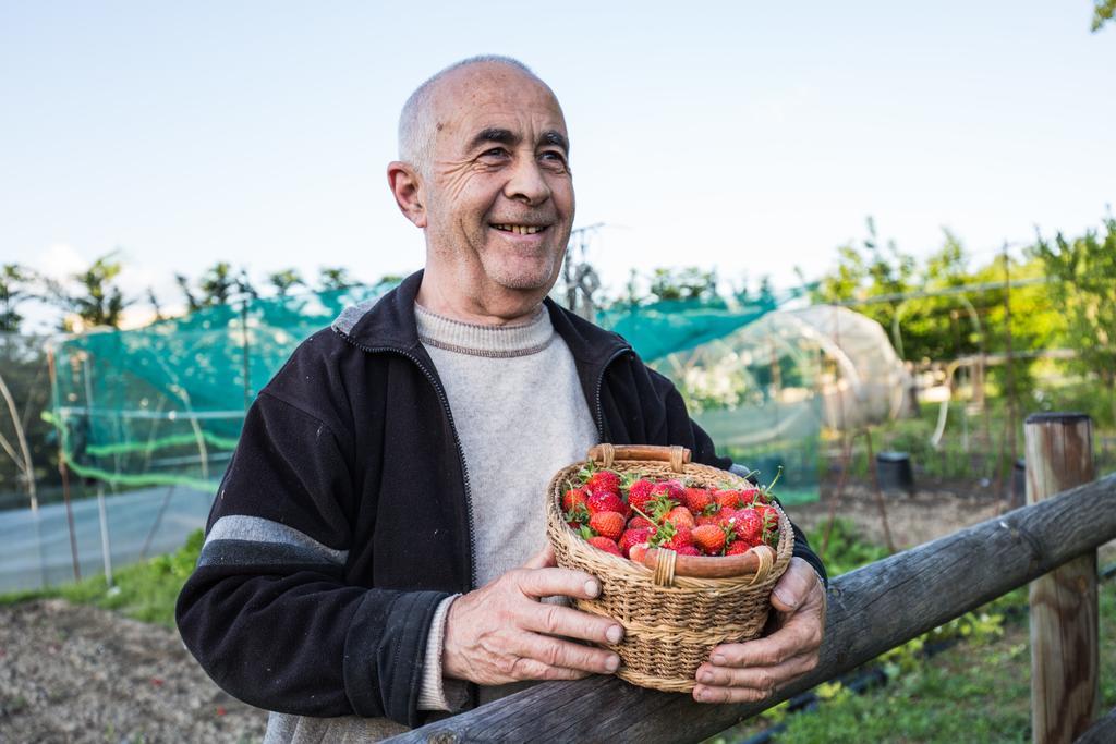 Cascina Arcangelo Raffaele Verduno Kültér fotó